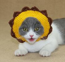 Cute Pet Hat