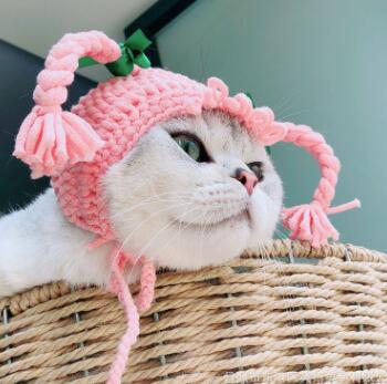 Cute Pet Hat