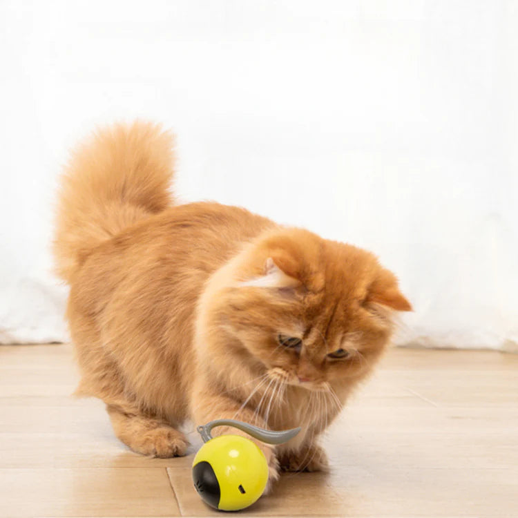 Smart Magic Ball Electric Cat Toys