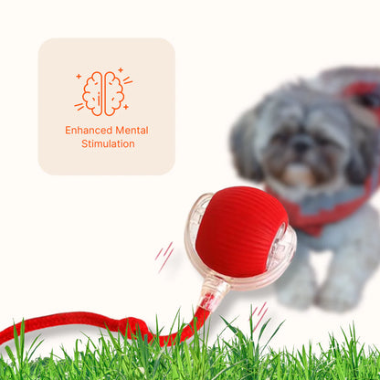 Interactive Pet Ball