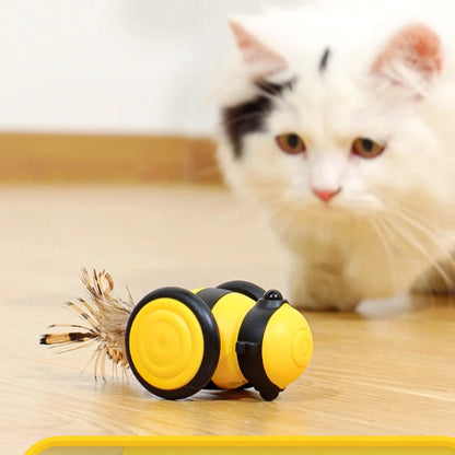 Bees Cat Car Toys