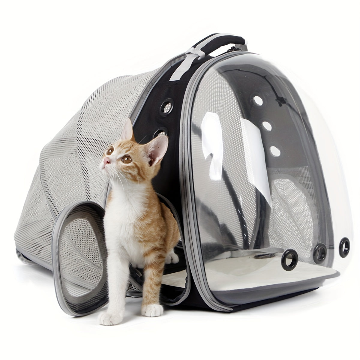 Back Extension Pet Carrier Backpack