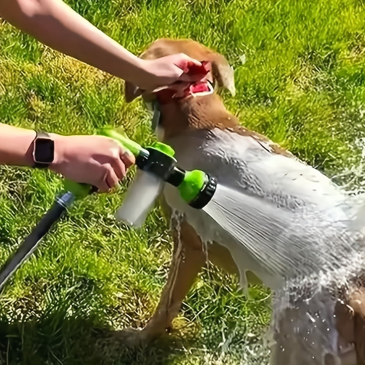 Pet Shower Pressure Washer Nozzles With Soap Dispenser Bottle