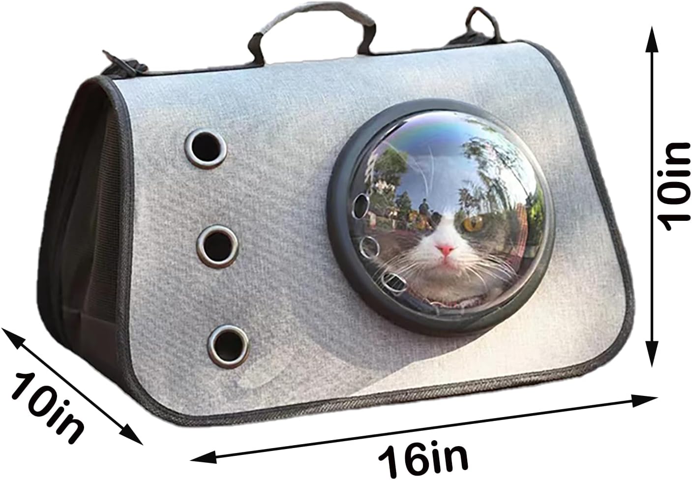 Pet Carrier for Small Cat & Dog, Fashionable Cat Cage