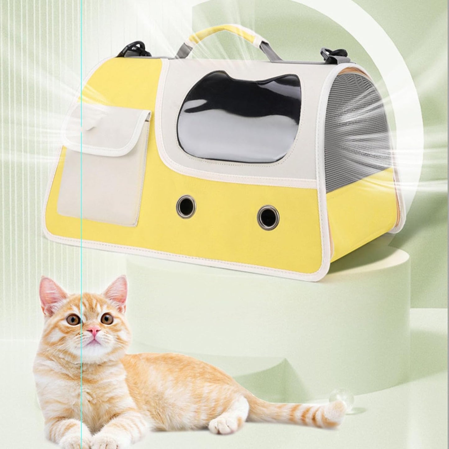 Folding Breathable Large Capacity Pet Carrier with Window Pet Bag