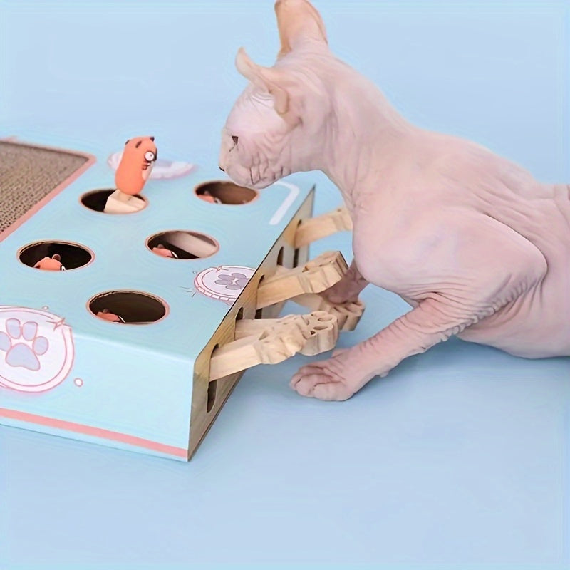 Fun Hamster Machine Game for Kittens and Pets