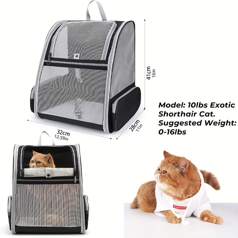 Traveler Bubble Backpack Pet Carriers For Cats And Dogs