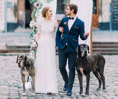 Formal Dog Bow Ties