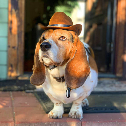 Adjustable Pet Cowboy Hat