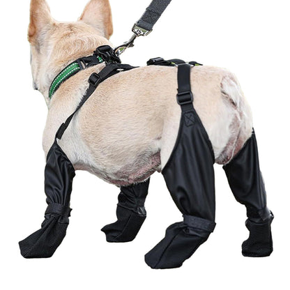 Suspenders Dog Paw Protector