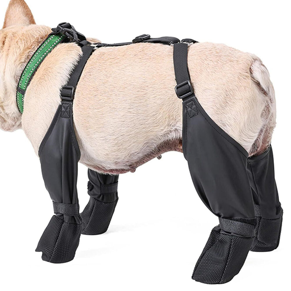 Suspenders Dog Paw Protector