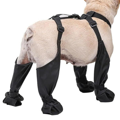 Suspenders Dog Paw Protector