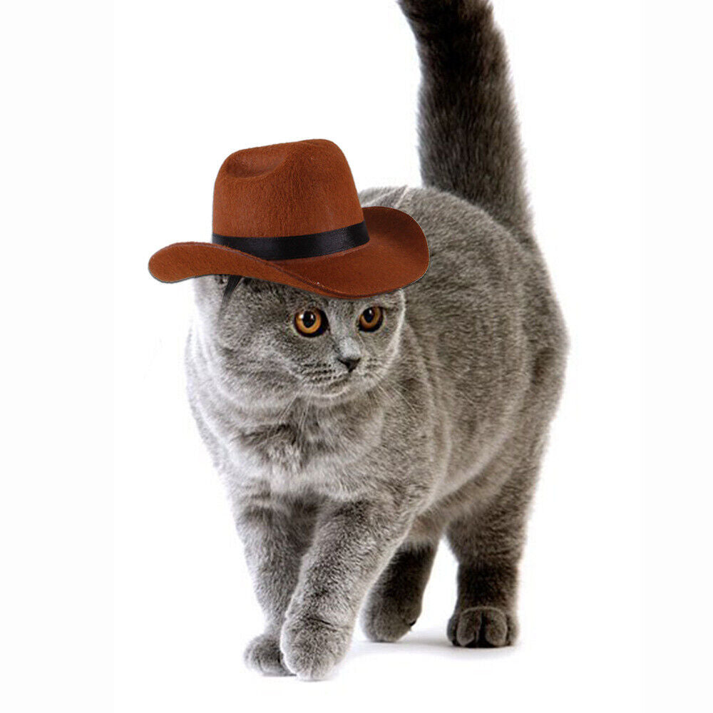 Adjustable Pet Cowboy Hat