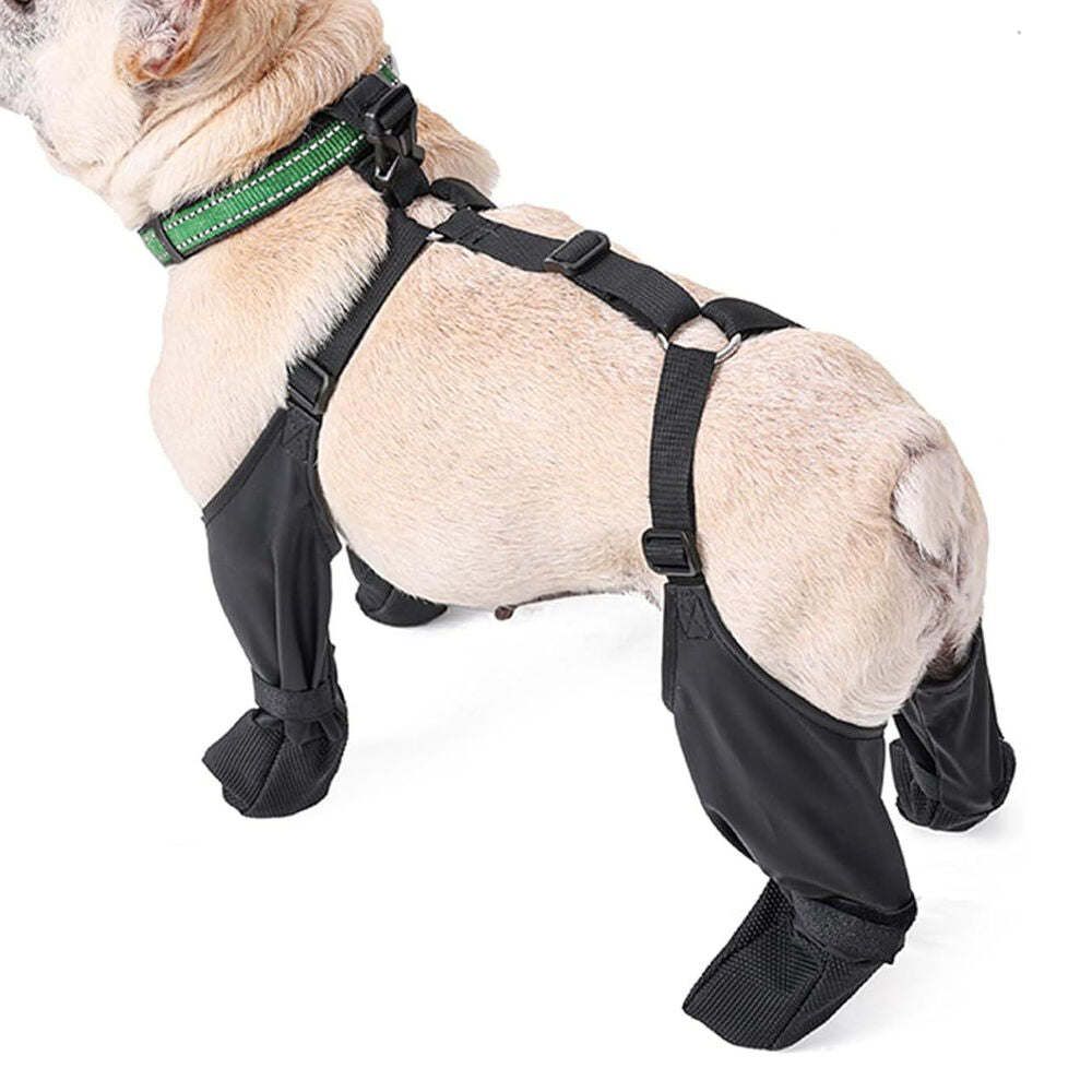 Suspenders Dog Paw Protector