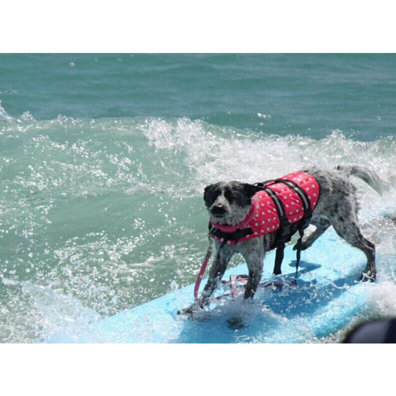 Pet Swimming Water Safety Vest