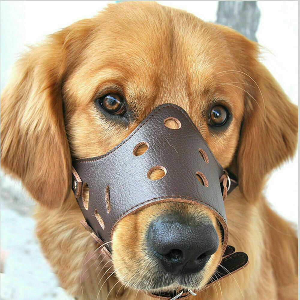 Anti-Biting Pet Dog Muzzles