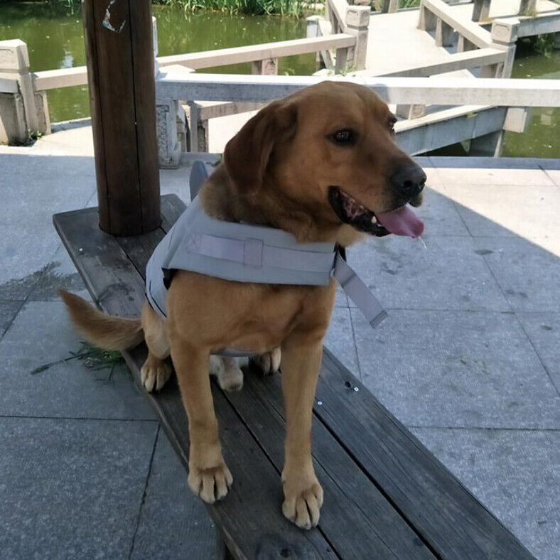 Dog Life Jacket Swimming Vest